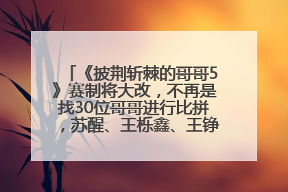 《披荆斩棘的哥哥5》赛制将大改，不再是找30位哥哥进行比拼，苏醒、王栎鑫、王铮亮、张远等多名男团选手被曝将参加