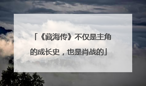 《藏海传》不仅是主角的成长史，也是肖战的