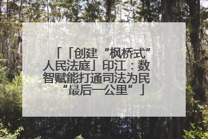 「创建“枫桥式”人民法庭」印江：数智赋能打通司法为民“最后一公里”