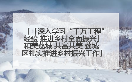 「深入学习“千万工程”经验 推进乡村全面振兴」和美荔城 共富共美 荔城区扎实推进乡村振兴工作