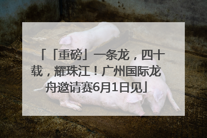 「重磅」一条龙，四十载，耀珠江！广州国际龙舟邀请赛6月1日见