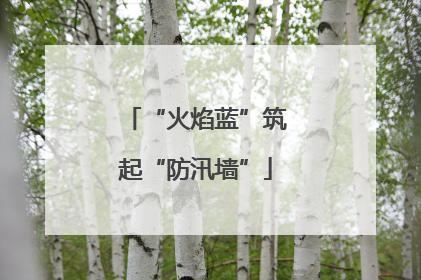 “火焰蓝”筑起“防汛墙”