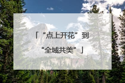 “点上开花”到“全域共美”
