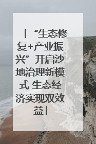 “生态修复+产业振兴”开启沙地治理新模式 生态经济实现双效益