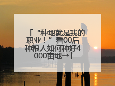 “种地就是我的职业！”看00后种粮人如何种好4000亩地→