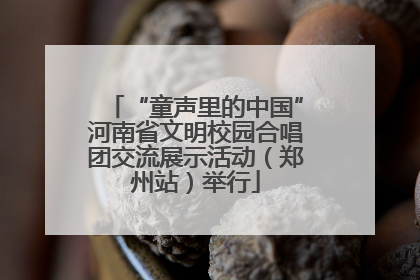 “童声里的中国”河南省文明校园合唱团交流展示活动（郑州站）举行