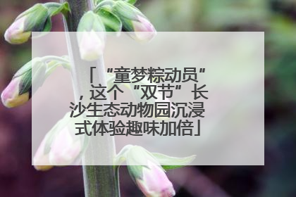 “童梦粽动员”，这个“双节”长沙生态动物园沉浸式体验趣味加倍