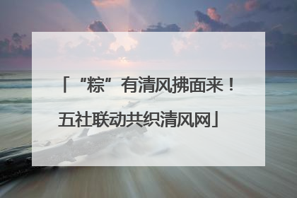 “粽”有清风拂面来！五社联动共织清风网