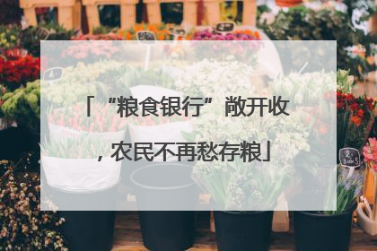 “粮食银行”敞开收，农民不再愁存粮
