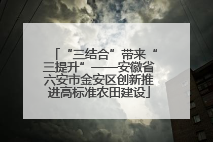 “三结合”带来“三提升”——安徽省六安市金安区创新推进高标准农田建设