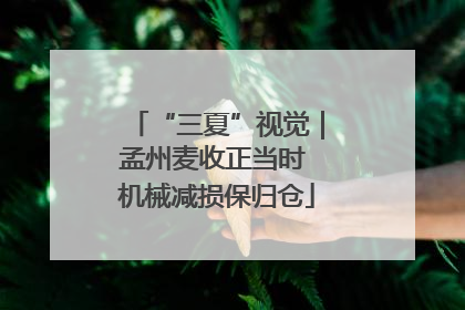 “三夏”视觉｜孟州麦收正当时 机械减损保归仓