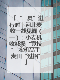 “三夏”进行时｜河北麦收一线见闻（一）：小麦机收减损“竞技” 农机高手麦田“过招”