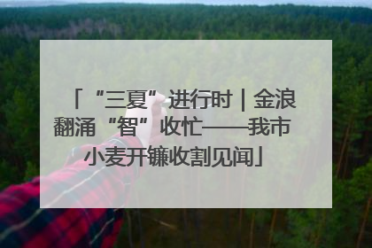 “三夏”进行时｜金浪翻涌“智”收忙——我市小麦开镰收割见闻