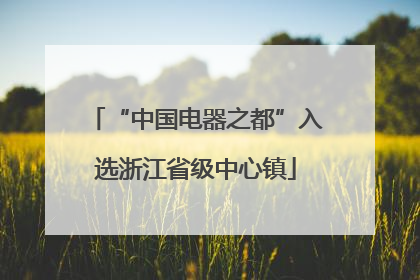“中国电器之都”入选浙江省级中心镇