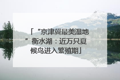 “京津冀最美湿地”衡水湖：近万只夏候鸟进入繁殖期