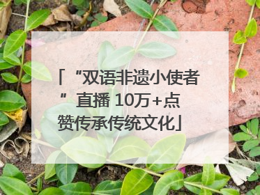 “双语非遗小使者”直播 10万+点赞传承传统文化