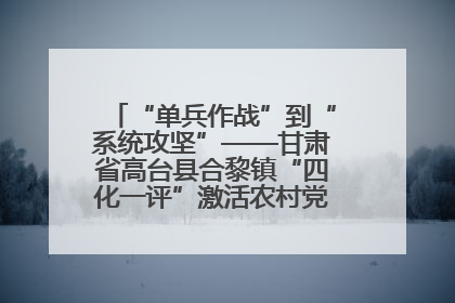 “单兵作战”到“系统攻坚”——甘肃省高台县合黎镇“四化一评”激活农村党员管理新引擎