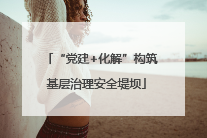 “党建+化解”构筑基层治理安全堤坝