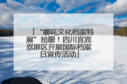 “哪吒文化档案特展”抢眼！四川宜宾翠屏区开展国际档案日宣传活动