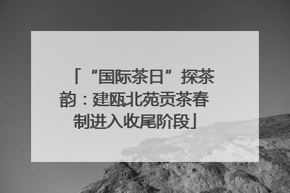 “国际茶日”探茶韵：建瓯北苑贡茶春制进入收尾阶段