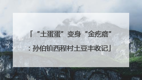“土蛋蛋”变身“金疙瘩”：孙伯镇西程村土豆丰收记