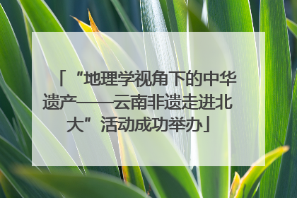 “地理学视角下的中华遗产——云南非遗走进北大”活动成功举办