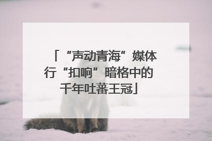 “声动青海”媒体行“扣响”暗格中的千年吐蕃王冠