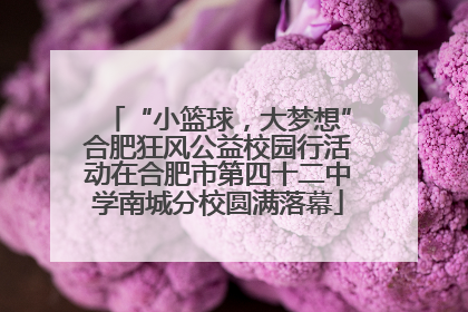 “小篮球，大梦想”合肥狂风公益校园行活动在合肥市第四十二中学南城分校圆满落幕