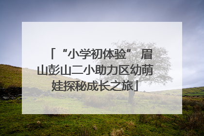 “小学初体验” 眉山彭山二小助力区幼萌娃探秘成长之旅