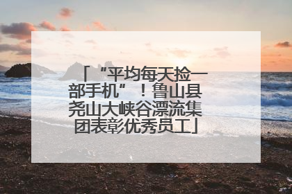 “平均每天捡一部手机”！鲁山县尧山大峡谷漂流集团表彰优秀员工