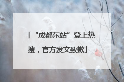 “成都东站”登上热搜，官方发文致歉