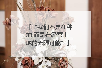 “我们不是在种地 而是在经营土地的无限可能”