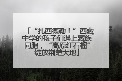 “扎西德勒！”西藏中学的孩子们遇上藏族同胞，“高原红石榴”绽放荆楚大地