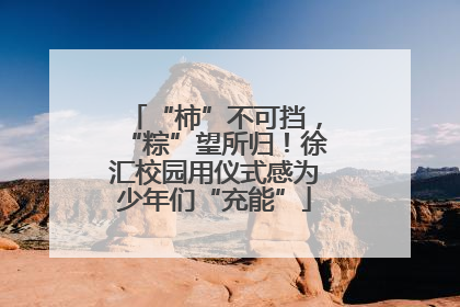 “柿”不可挡，“粽”望所归！徐汇校园用仪式感为少年们“充能”