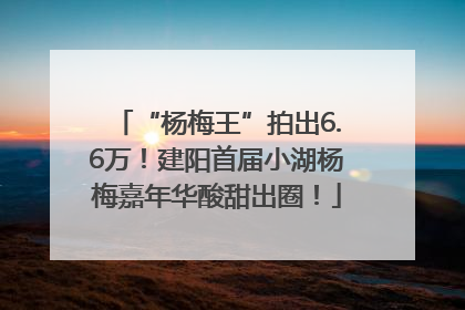 “杨梅王”拍出6.6万！建阳首届小湖杨梅嘉年华酸甜出圈！