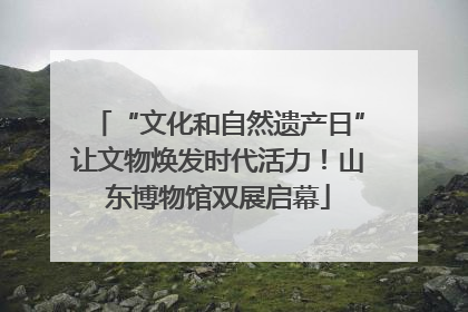 “文化和自然遗产日”让文物焕发时代活力！山东博物馆双展启幕