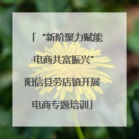 “新阶聚力赋能·电商共富振兴”阳信县劳店镇开展电商专题培训