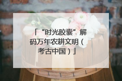 “时光胶囊”解码万年农耕文明（考古中国）