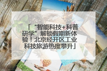 “智能科技+科普研学”解锁假期新体验！北京经开区工业科技旅游热度攀升