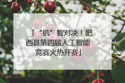 “机”智对决！肥西县第四届人工智能竞赛火热开赛