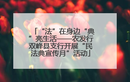 “法”在身边“典”亮生活——农发行双峰县支行开展“民法典宣传月”活动