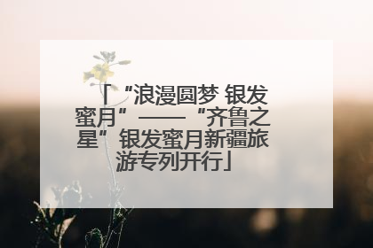 “浪漫圆梦 银发蜜月”——“齐鲁之星”银发蜜月新疆旅游专列开行