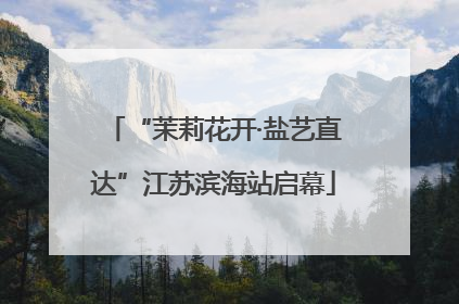 “茉莉花开·盐艺直达”江苏滨海站启幕