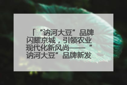 “讷河大豆”品牌闪耀京城，引领农业现代化新风尚——“讷河大豆”品牌新发地推介会圆满落幕