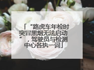 “路虎车年检时突冒黑烟无法启动”，驾驶员与检测中心各执一词