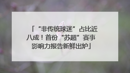 “非传统球迷”占比近八成！首份“苏超”赛事影响力报告新鲜出炉