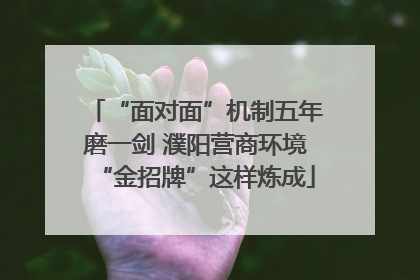 “面对面”机制五年磨一剑 濮阳营商环境“金招牌”这样炼成
