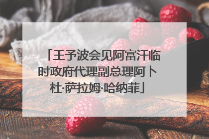 王予波会见阿富汗临时政府代理副总理阿卜杜·萨拉姆·哈纳菲