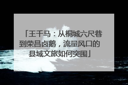 王千马：从桐城六尺巷到荣昌卤鹅，流量风口的县域文旅如何突围