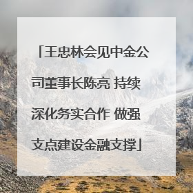 王忠林会见中金公司董事长陈亮 持续深化务实合作 做强支点建设金融支撑